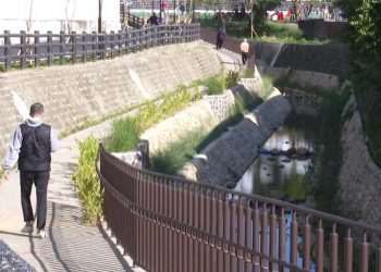 水汴頭綠水巷 恢復河川生命力