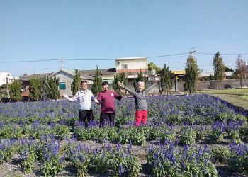 田尾珍奇植物展  難得一見雨林植栽現身