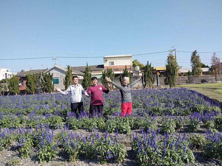 田尾珍奇植物展  難得一見雨林植栽現身