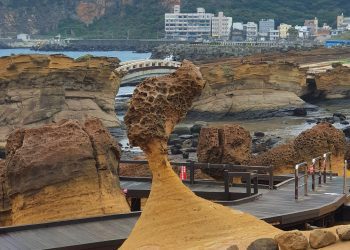 秋遊金山萬里 名人帶路泡湯趣