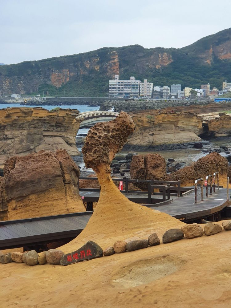 秋遊金山萬里 名人帶路泡湯趣 秋遊金山萬里 名人帶路泡湯趣