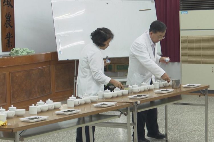 竹縣雲裳烏龍評鑑會 高淘汰率、茶葉品質上乘 竹縣雲裳烏龍評鑑會 高淘汰率、茶葉品質上乘