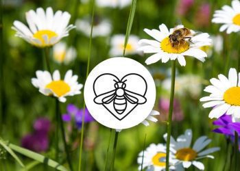 頂級尊寵美肌結合環境保育的雙贏禮盒 隆重登場