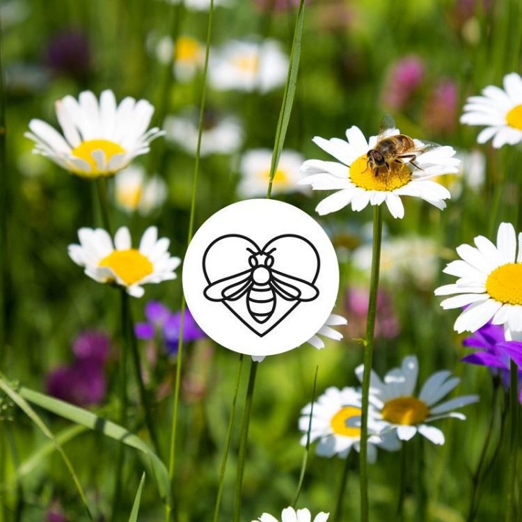 頂級尊寵美肌結合環境保育的雙贏禮盒 隆重登場 頂級尊寵美肌結合環境保育的雙贏禮盒 隆重登場