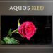 夏普展現真 mini LED 顯示技術 AQUOS XLED 65 吋四月台灣開賣 夏普展現真 mini LED 顯示技術 AQUOS XLED 65 吋四月台灣開賣