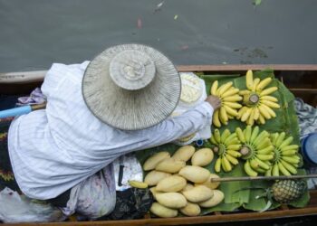 中国农产品大批涌入 中老高铁引泰国商民担忧