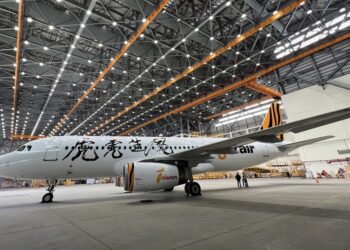 亞洲首架文字彩繪機 董陽孜親題「虎虎生風」飛上青天