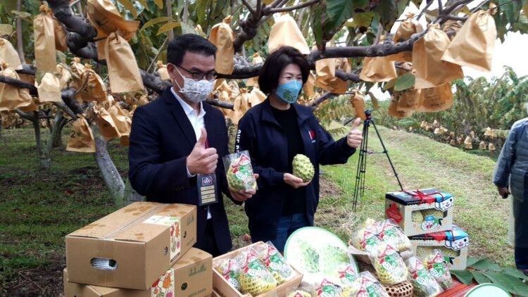 全聯力挺臺東鳳梨釋迦 總經理親訪果園確保產品品質