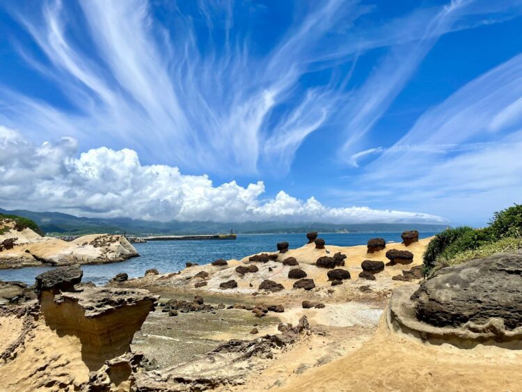 化石的寶庫 野柳地質公園巨蟲遺跡-生痕化石特展 1月23日登場