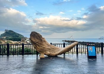 北海岸打卡新地標 漂流木巨鯨即日登場 產官學攜手倡環境生態保育