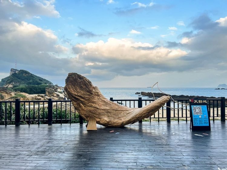 北海岸打卡新地標 漂流木巨鯨即日登場 產官學攜手倡環境生態保育 北海岸打卡新地標 漂流木巨鯨即日登場 產官學攜手倡環境生態保育