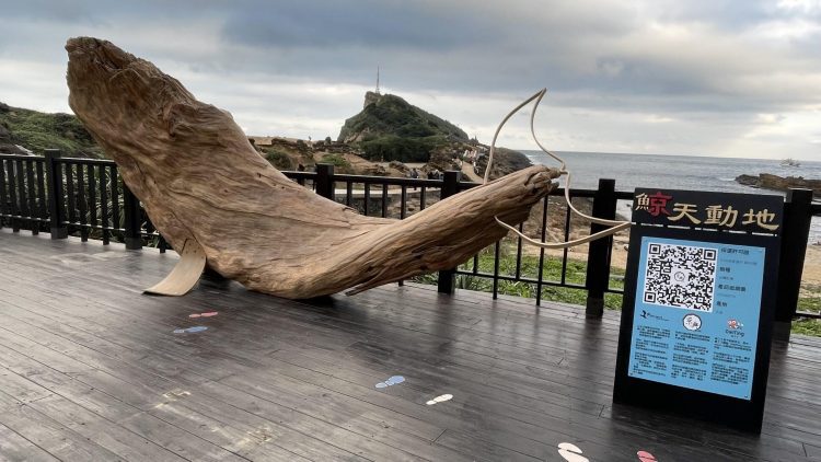北海岸新地標「鯨天動地」 將於1月10日於野柳地質公園正式亮相