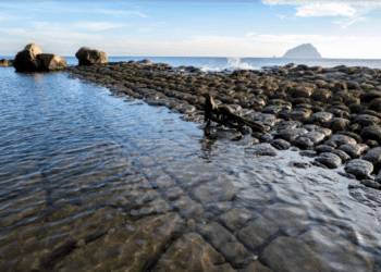 北觀處得獎連連 基隆和平島公園勇奪台灣景觀大獎傑出獎 以貼心服務歡迎遊客一訪再訪