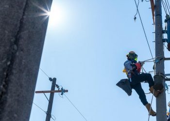 台電5月招考857名僱用人員 甄試簡章今上網公告