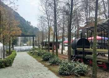 宜蘭鳳梨屋 打造奢華山林度假美學