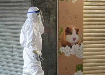 宠物店仓鼠染新冠 香港大规模扑杀防疫