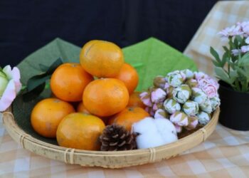 年節果品最好禮 雲林茂谷銷售長紅 累計媒合銷售破7100箱！