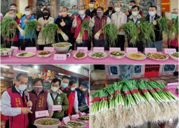 年菜必用食材 五結白蒜採收熱賣