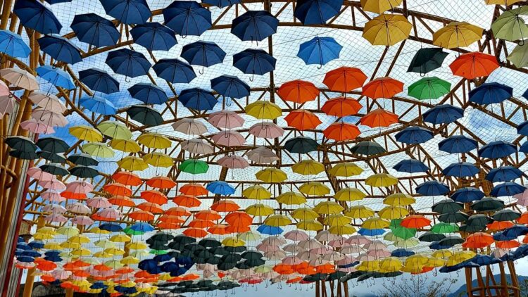 後山小調∕傘海飄揚