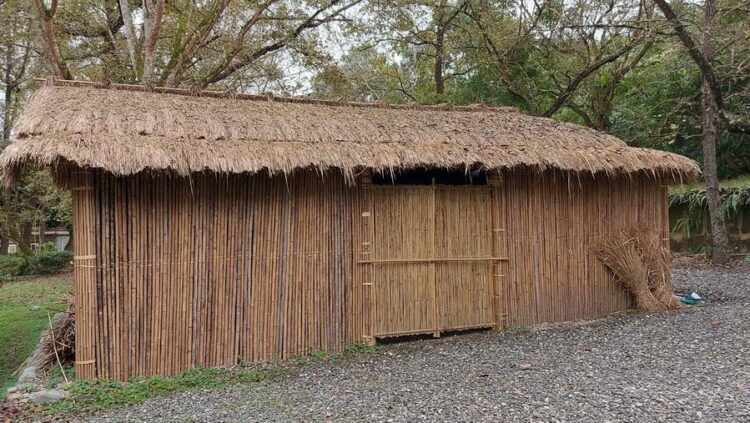 後山小調∕玉里重現阿美族茅草屋