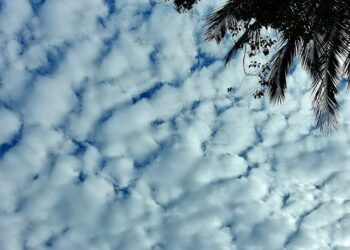 後山小調∕私房錢被破解了