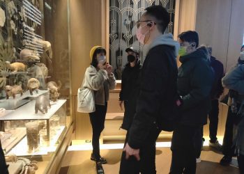 微知識正夯!臺博館新創「臺博速成班」 經典臺灣博物一次入手 讓你成為最佳代言人