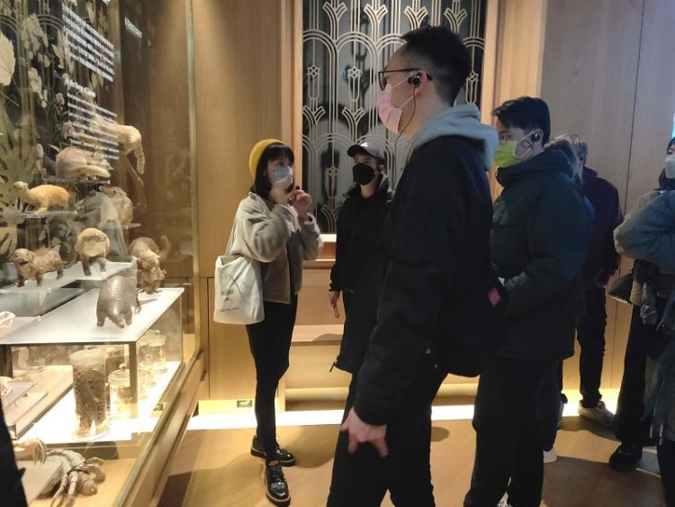 微知識正夯!臺博館新創「臺博速成班」 經典臺灣博物一次入手 讓你成為最佳代言人