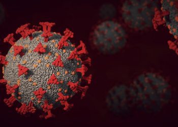 快訊／12日晚間本土增9例 皆為銀行傳播鏈