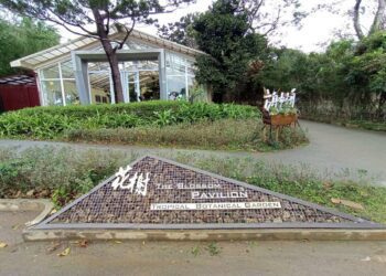 方舟中的方舟？談生物保種兼論中文方舟出處/波新聞