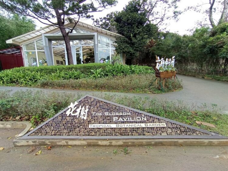 方舟中的方舟?談生物保種兼論中文方舟出處/波新聞 方舟中的方舟?談生物保種兼論中文方舟出處/波新聞