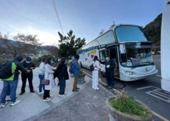 暢遊武陵賞櫻 中市預約「賞櫻專車」超方便