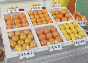 柑桔美食生活節1/22、23登場  取消用餐高規格防疫