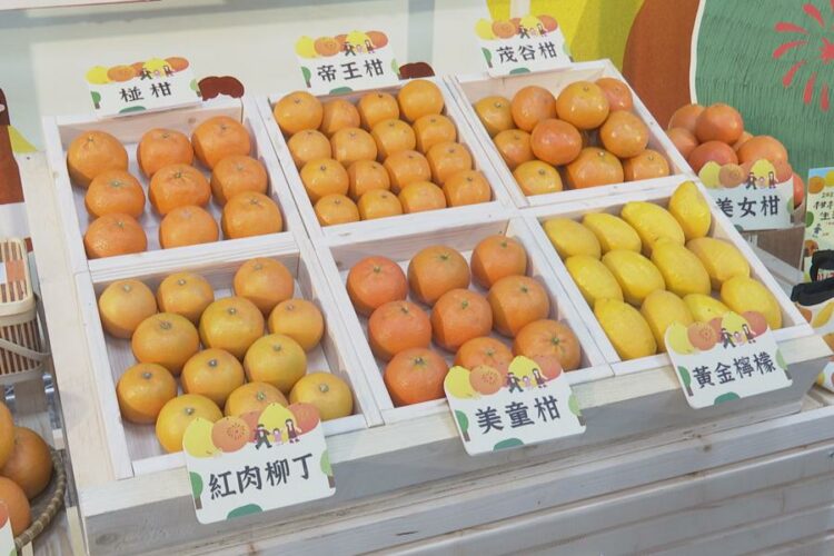 柑桔美食生活節1/22、23登場 取消用餐高規格防疫 柑桔美食生活節1/22、23登場 取消用餐高規格防疫