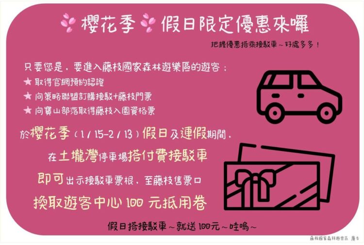桃源區櫻花季盛大開幕,藤枝國家森林遊樂區值得踩春!/波新聞 桃源區櫻花季盛大開幕,藤枝國家森林遊樂區值得踩春!/波新聞