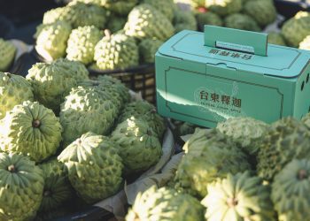 甜美台東鳳梨釋迦 饒慶鈴邀民眾一起吃釋迦過好年