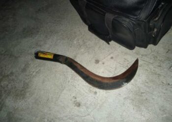 疑播放音乐太大声 英国游客泰国遭镰刀“斩首”