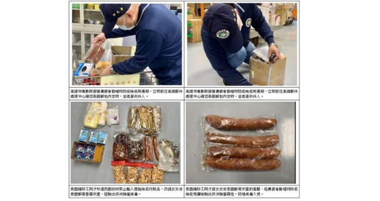 移民署接續追查非洲豬瘟郵包 拘提泰籍收件者到案 移民署接續追查非洲豬瘟郵包 拘提泰籍收件者到案