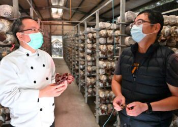 致力開創農產新方向 花蓮縣攜手吳寶春研發新產品