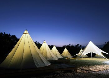 虎虎森豐露營過新年 森渼原+原創花雕雞 春節推年味火鍋露營專案