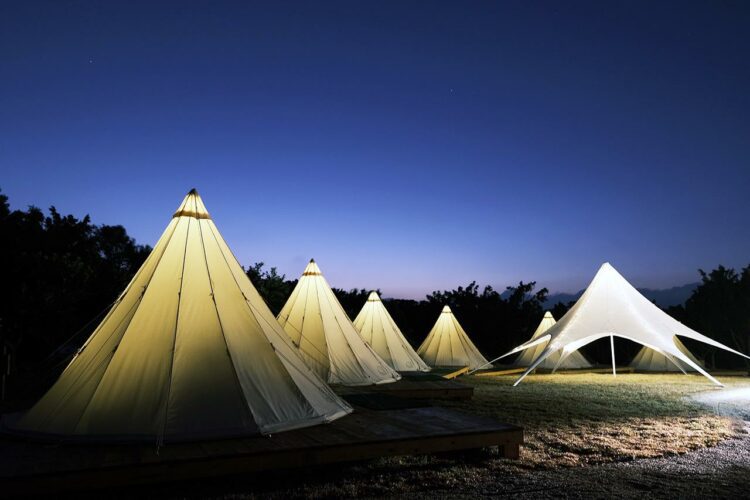 虎虎森豐露營過新年 森渼原+原創花雕雞 春節推年味火鍋露營專案 虎虎森豐露營過新年 森渼原+原創花雕雞 春節推年味火鍋露營專案