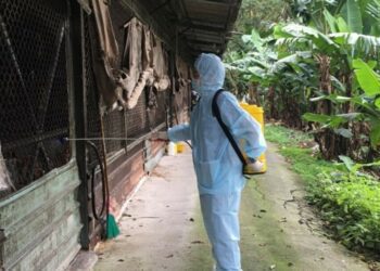 關渡自然公園驗出新型禽流感 新北動保處呼籲「5要6不」