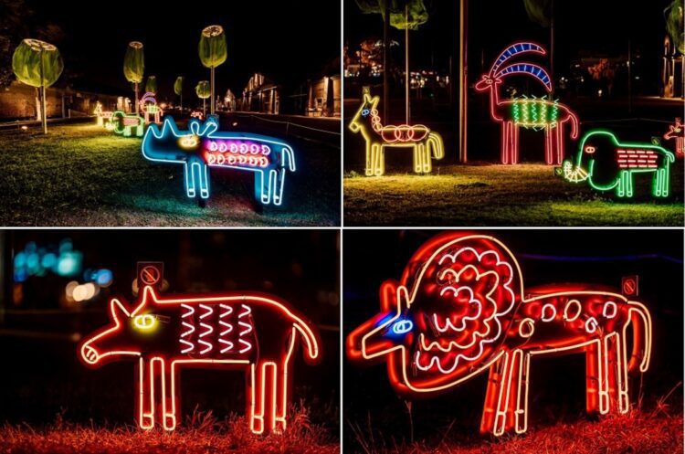 防疫新燈會！駁二夜間動物園登場！插畫結合霓虹燈管奇幻又絢麗