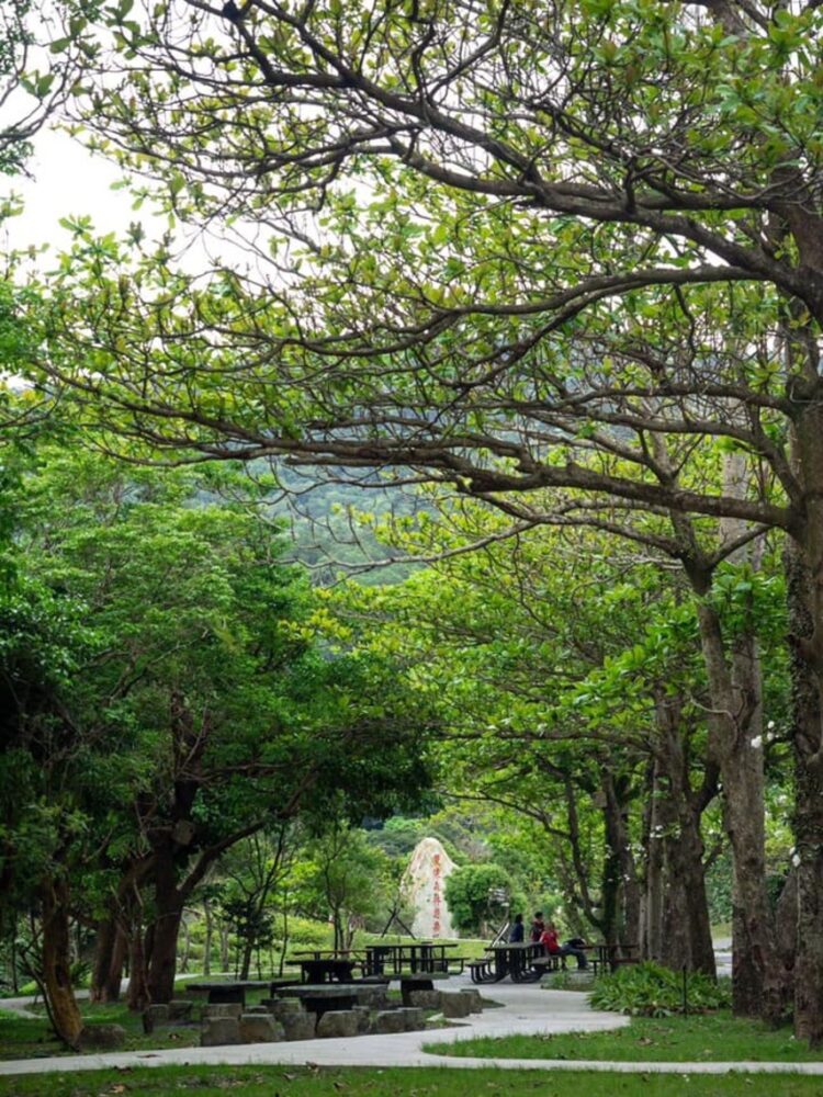 雙流國家森林遊樂區路面鋪設工程進度超前1月15日提前開園!/波新聞