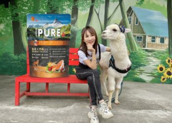 零元養寵正夯！「沛思特Petstar」分享式寵物電商平台崛起