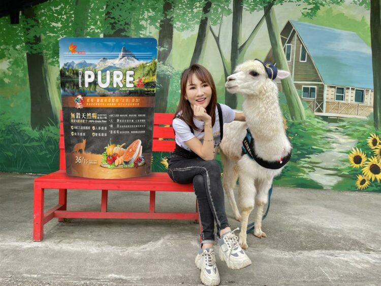 零元養寵正夯！「沛思特Petstar」分享式寵物電商平台崛起