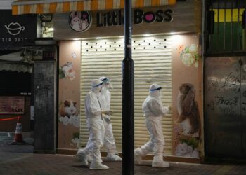 香港网民联署促港府撤“杀鼠令”