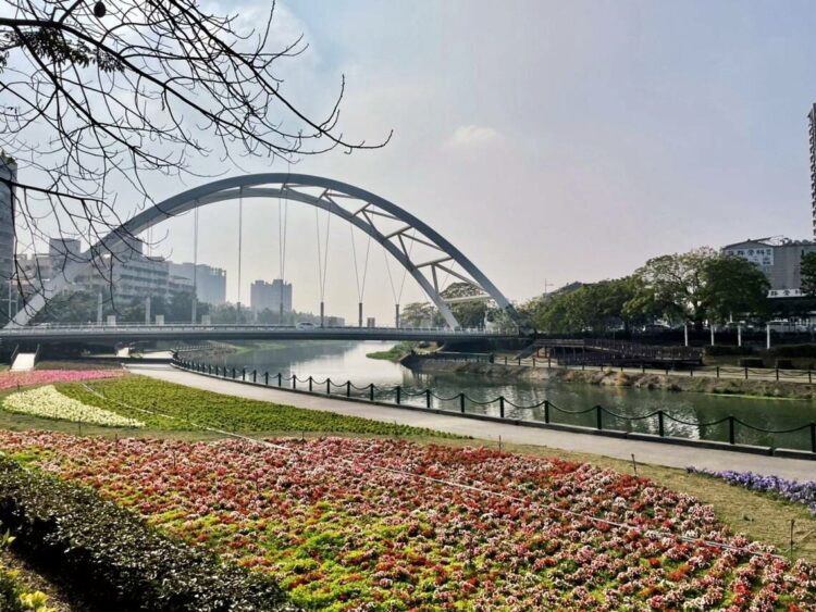 高市河岸綠地 百花綻放報春喜 高市河岸綠地 百花綻放報春喜