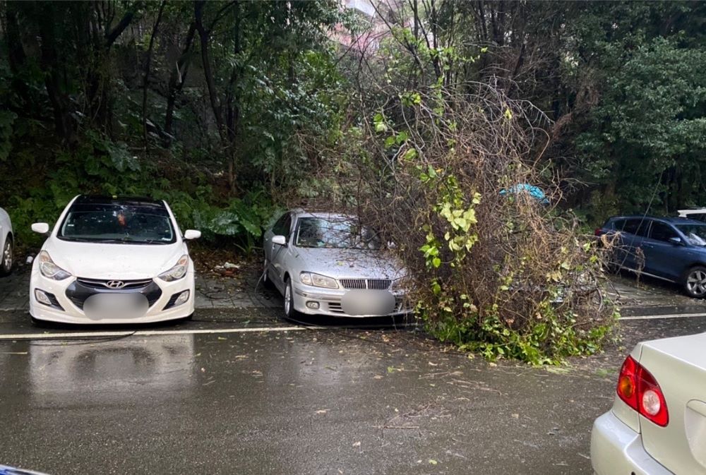 路樹倒塌 基二警不畏豪雨指揮交通！