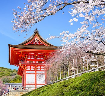 好想去日本!旅行業超前部屬「賞櫻團價格曝光」 網驚:是日幣嗎? 好想去日本!旅行業超前部屬「賞櫻團價格曝光」 網驚:是日幣嗎?