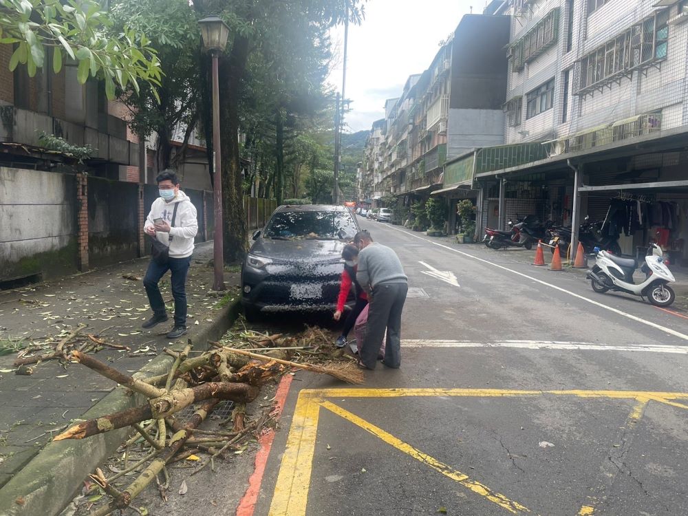 路樹倒塌壓到路邊車 警民協力通報排除障礙 恢復通車